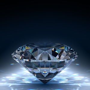 Meet your Posher, Julius